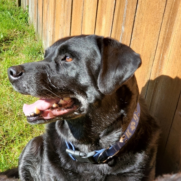 Meet your Posher, Flavia - Picture 4 of 9